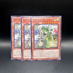 遊戯王 The Fallen &The Virtuous プリズマティックシークレットレア