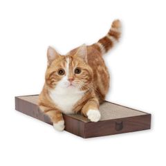 Item thumbnail for item f16c42dc-9146-438e-ac27-b6c7fbf7184b