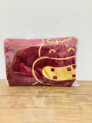 Item thumbnail for item 365c8b5d-af77-43ae-a3aa-cc19bfd4d999