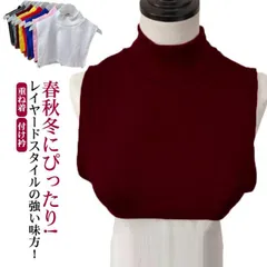 つけ襟 送料無料 付け襟 あったか タートル ハイネック 春 秋冬 マフラー ネックウォーマー タートルネック 付け衿 シンプル レイヤード 重ね着 無地 首つまり インナー 暖か かわいい おしゃれ#shbgdd167
