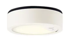 パナソニック(Panasonic) 天井直付型 LED[電球色] 軒下用ダウンシーリング 拡散タイプ 防雨型・FreePaお出迎え・ペア点灯可能型・シンプルタイマー・明るさセンサ付・段調光省エネ型 LSEWC2084LE1 