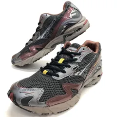 mizuno WAVE RIDER 10