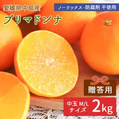 中島産 プリマドンナ 2kg 贈答用(赤秀) 中玉 中島みかん 産地直送 島みかん 柑橘 高級 愛媛ミカン 瀬戸内海 愛媛県 希望の島産 ノーワックス 防腐剤不使用 宅急便のサムネイル