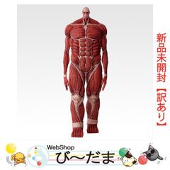 0時まで値下げ中】3B 筋肉解剖 人体模型 - メルカリ