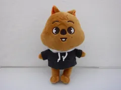 Stray Kids HAN SKZ'S MAGIC SCHOOL SKZOO PLUSH Original ver. ぬいぐるみ HANQUOKKA ハンクォッカ