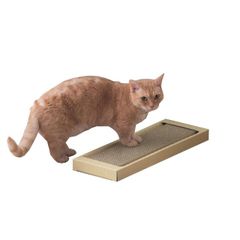 Item thumbnail for item 012dfcfe-e460-4777-9bed-9df7c25497f4