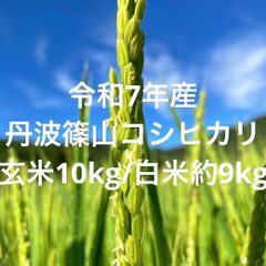 036225様専用 農薬不使用コシヒカリ天日干し 玄米10キロ もみすり立て