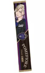 TYPE-MOON Racing マフラータオル クロエ・フォン・アインツベルン