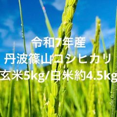 メルカリ市限定！栃木のお米・コシヒカリ♡白米15 - メルカリ