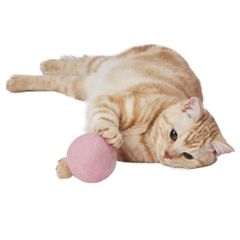 Item thumbnail for item 21cb10aa-6fbb-4523-83fa-0f533138fc1a