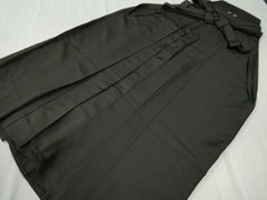 Item thumbnail for item 8792a2ad-06be-4913-a4e2-c0457193413c