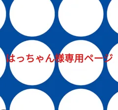 はっちゃん様専用ページです。