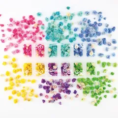 素材 封入 材料 レジン ネイル 花材 咲いた花 12マスケース入り 花頭 ドライフラワー 6色セット かすみ草