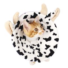 Item thumbnail for item 8a6e6ceb-6cea-4d62-b1b1-b6d66a7059cc