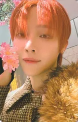 &TEAM 通常盤初回プレス盤 ver. NICHOLAS 雪明かり(Yukiakari) B