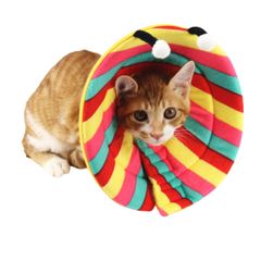 Item thumbnail for item 42a0f232-6eff-4fa6-b5d4-6fcd3a58b3a4