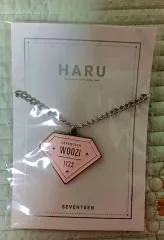 SEVENTEEN(セブンティーン・セブチ) ウジ(WOOZI) ハルコン キーホルダー 未開封