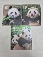 全知的プーバオ視点