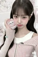 IVE（アイヴ） まとめ売り 非公式グッズ 3500円で出品