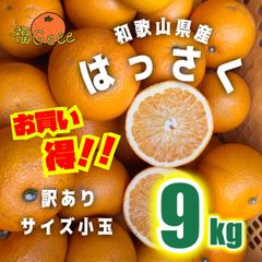 訳あり】有田八朔 8kg サイズ混合 和歌山県産 - メルカリ