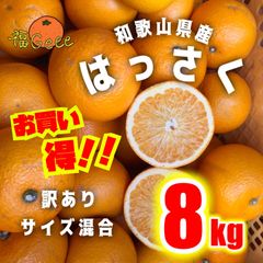 【産地直送】和歌山県産有田の八朔（はっさく）8kg  サイズ混合 訳あり 有田みかん