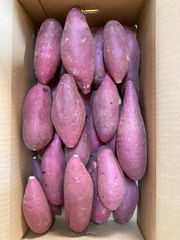 ⭐︎R7年産 熊本大津産 紅はるか「M &L君」10キロ