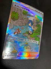 ポケモンカードスイレンのお世話