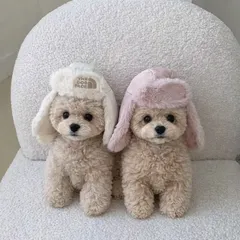 犬用　帽子2セット