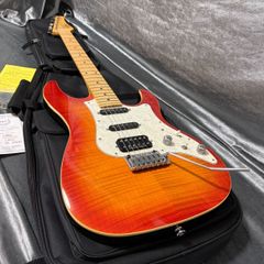 EOS2-ASH-M/2TSU/01　フジゲン　美品　ハードケース付 EOS2-ASH-M/2TSU/01 フジゲン 美品 ハードケース付 - メルカリ