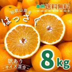 訳あり‼️和歌山県産 はっさく 八朔 8kg サイズ混合 有田 みかん 柑橘 フルーツ