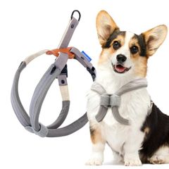 Item thumbnail for item 956649b0-b450-484b-94d9-9cd2e61898e9