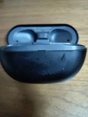 SONY ソニー　BC-WFSP800N　充電ケースのみ