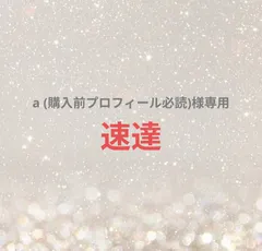 a (購入前プロフィール必読)様専用ページ
