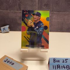 Item thumbnail for item 7e1161fb-273f-4e0a-82bf-127eb1440be7