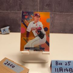 Item thumbnail for item 891b2541-92c1-4fca-a0f8-3b5c2d4403f1