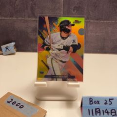 Item thumbnail for item e0cc60fb-ace4-46bf-b2b4-8e28303503aa