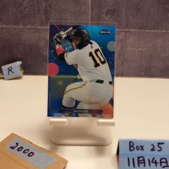 Item thumbnail for item 403b0713-eb77-4250-a0d0-492475a9efcb