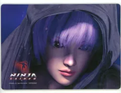 2026年最新】あやね ninja gaidenの人気アイテム - メルカリ