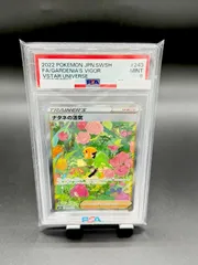 【PSA9】ポケモンカードゲーム ナタネの活気　SAR 243/172