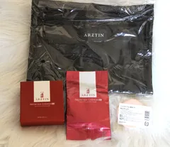 【エルツティンシルククッションRX　内容量12g中9割残っています×1箱　レフィル12g＜未開封＞×1袋　2個セット】