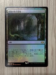 MTG 非Foil 新緑の地下墓地/Verdant Catacombs[MH2] - メルカリ