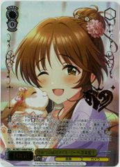 ヴァイスシュヴァルツ/この旅の先には/RRR/『テイルズ オブ』シリーズ