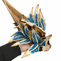 タビビトノキのタネ（旅人の木の種 / 扇芭蕉の木）Lサイズ 1個 送料無料 他品同梱不可の単独発送品 観葉植物 インテリアオブジェ 種子の宝石 神秘的 ドライフラワー 撮影小物のサムネイル