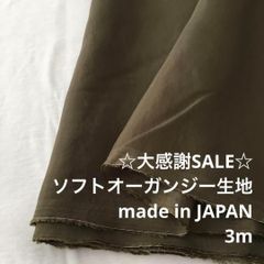 Item thumbnail for item cbc47d61-57c4-4f65-81a7-456e2a16263c