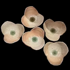 2026年最新】伊賀焼 皿の人気アイテム - メルカリ