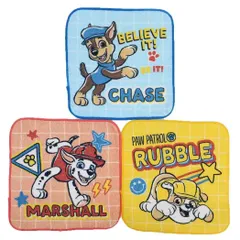 【メール便】パウパトロール ハンカチタオル プチタオル3枚組 パウレトロ（男児） 入園入学準備雑貨 アニメキャラクター グッズ 