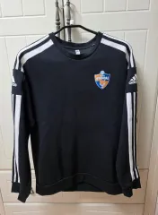 2026年最新】蔚山現代の人気アイテム - メルカリ