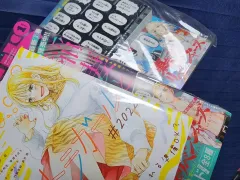 別冊フレンド 2022 雑誌 東京リベンジャーズ トレカ 16 種 付録