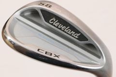 Item thumbnail for item 0015b78d-e885-45a6-b07e-3b16b9a56a9b