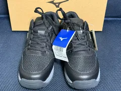 アウトレット [ミズノ] ウォーキングシューズ OD100 GTX 8 防水 ゴアテックス 幅広 軽量 カジュアル B1GA230009 24CM 未使用/送料無料/激安